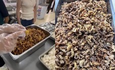 Dừng hợp đồng đơn vị cung cấp suất ăn sau vụ thịt 'như tóp mỡ'