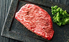 Việt Nam chọn giống bò H’Mông để xây dựng thương hiệu quốc gia như bò Kobe