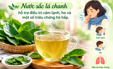 3 cách dùng lá chanh giảm ho, dễ thực hiện có tác dụng tốt tại nhà