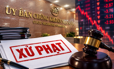 Công ty Cổ phần TIE bị phạt hơn 200 triệu đồng