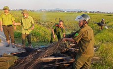 Phát hiện 'trận địa' bẫy chim giữa cánh đồng, thu 5.000m lưới
