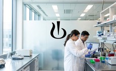 Novartis thất bại trong thử nghiệm thuốc ngừa đột quỵ thế hệ mới