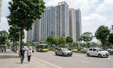 Sử dụng căn hộ chung cư làm văn phòng bị phạt tới 130 triệu đồng