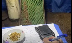 Khởi tố 7 người livestream bán xô cát đãi vàng