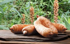 5 b&#224;i thuốc chữa bệnh từ thi&#234;n ma