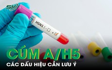 Lưu &#253; c&#225;c dấu hiệu c&#250;m A/H5 ở người