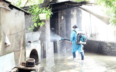 5 cách chủ động phòng bệnh do muỗi sau lũ