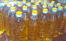 'Săn' hạt mắc-ca, óc chó… để ép dầu: Trào lưu mới của các bà nội trợ