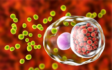 Bệnh&#160;Chlamydia&#160;c&#243;&#160;thể&#160;g&#226;y&#160;v&#244;&#160;sinh