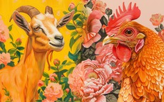 Tử vi 12 con gi&#225;p h&#244;m nay 16/11: Ngọ mệt mỏi, Dần l&#224;m ăn may mắn