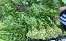 Gi&#225; rau &#39;phi m&#227;&#39; sau b&#227;o, bữa cơm gia đ&#236;nh Thủ đ&#244; chịu &#225;p lực nặng nề