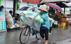 Từ đ&#234;m mai, miền Bắc chuyển mưa r&#233;t d&#224;i ng&#224;y 