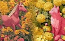 Tử vi 12 con gi&#225;p h&#244;m nay 19/11: Hợi trung b&#236;nh, Dần vui vẻ hạnh ph&#250;c