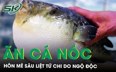 Cấp cứu tối khẩn ca bệnh h&#244;n m&#234; s&#226;u sau 1 giờ ăn c&#225; n&#243;c 