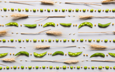 Th&#234;m đạm thực vật mỗi s&#225;ng - Sống khỏe chủ động mỗi ng&#224;y