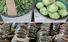 Sau mưa b&#227;o, t&#244;m h&#249;m Ph&#250; Y&#234;n t&#236;m nơi giải cứu từ 180.000 đồng/kg, người d&#226;n ở H&#224; Nội &#39;đo đếm&#39; từng cọng h&#224;nh v&#236; rau xanh đắt đỏ