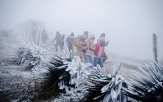 Miền Bắc đối mặt r&#233;t kh&#244;, sương muối d&#224;y trong thời gian tới