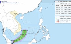 Chuy&#234;n gia: Đường đi kỳ lạ của &#225;p thấp nhiệt đới tr&#234;n Biển Đ&#244;ng l&#224; chưa từng được ghi nhận