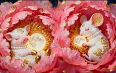 Tử vi tuần mới 12 con gi&#225;p từ 1- 7/12: Th&#226;n rắc rối, Dần c&#244;ng danh khởi ph&#225;t