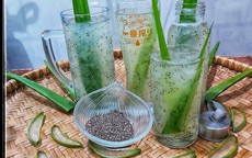 Kh&#225;m ph&#225; b&#237; quyết phục hồi t&#243;c hư tổn từ l&#244; hội v&#224; hạt chia