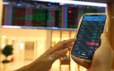 &#193;p lực b&#225;n gia tăng, chứng kho&#225;n Việt giảm gần 200 điểm sau 4 tuần