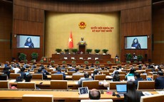 Quốc hội chính thức thông qua Luật Phòng bệnh