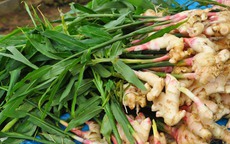 4 nh&#243;m người tuyệt đối kh&#244;ng n&#234;n ăn gừng 