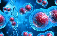 Người bệnh ung thư c&#243; n&#234;n ăn đường?