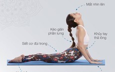 7 tư thế yoga đơn giản giúp giảm mỡ bụng