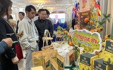 Hải Phòng tạo cầu nối tiêu thụ nông sản vùng Đồng bằng sông Hồng cho thị trường Tết