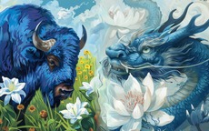 Tử vi 12 con giáp hôm nay 27/12: Thìn, Dậu biến động, Mùi nhiều điểm sáng