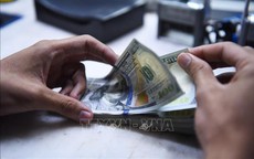 Tỷ gi&#225; h&#244;m nay 3/12: Gi&#225; USD đi ngang, NDT tiếp tục nh&#237;ch l&#234;n