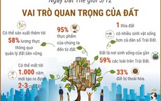 Ng&#224;y Đất Thế giới 5/12: Vai tr&#242; quan trọng của đất