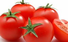 Người bệnh gout có nên ăn cà chua?
