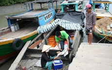 ‘Bức tranh’ dân số TPHCM hiện nay ra sao?