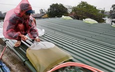 Bão số 3 tăng cấp chóng mặt chỉ trong vòng 3 tiếng, người dân phải làm gì để an toàn?