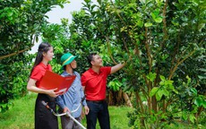Agribank - Doanh nghiệp ESG Việt Nam xanh 2025