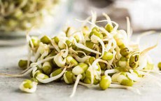Người bệnh tiểu đường ăn gi&#225; đỗ c&#243; tốt kh&#244;ng?