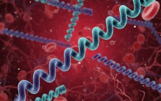 5 câu hỏi thường gặp nhất về bệnh giang mai