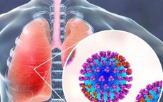 Virus hợp bào hô hấp ở trẻ ủ bệnh bao lâu và cách phòng tránh