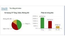 Xu hướng chứng khoán 15/1, tận dụng nhịp chỉnh để mua thêm cổ phiếu