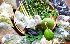 Liệu pháp thảo dược giúp nuôi dưỡng tóc và da đầu mùa đông