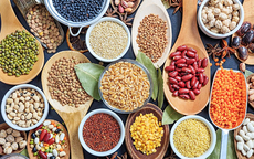Chất xơ – ‘Chìa khóa cân bằng’ trong những bữa ăn nhiều đạm