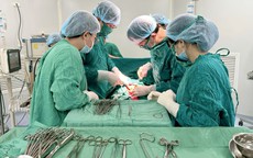 Rau tiền đạo trung tâm cài răng lược, chuyên gia chỉ ra những thách thức tối nguy