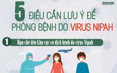 [Infographic] - 5 điều cần lưu ý để phòng bệnh do virus Nipah