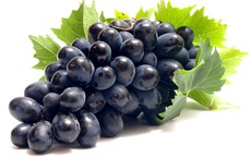 Những loại thực phẩm chống lão hóa tốt nhất cho da