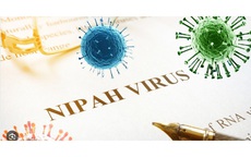 Bệnh do virus Nipah: Chuyên gia khuyến cáo người dân nên bình tĩnh, hiểu biết để phòng bệnh hiệu quả