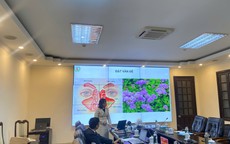 Nghiệm thu thành công đề tài nghiên cứu dung dịch hỗ trợ điều trị viêm mũi xoang từ cây ngũ sắc