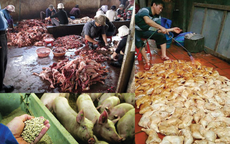 Những tác hại kinh hoàng với sức khoẻ khi dùng thực phẩm bẩn