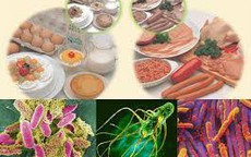 Bộ Y tế: Chủ động giám sát mối nguy ô nhiễm thực phẩm, phòng ngừa ngộ độc